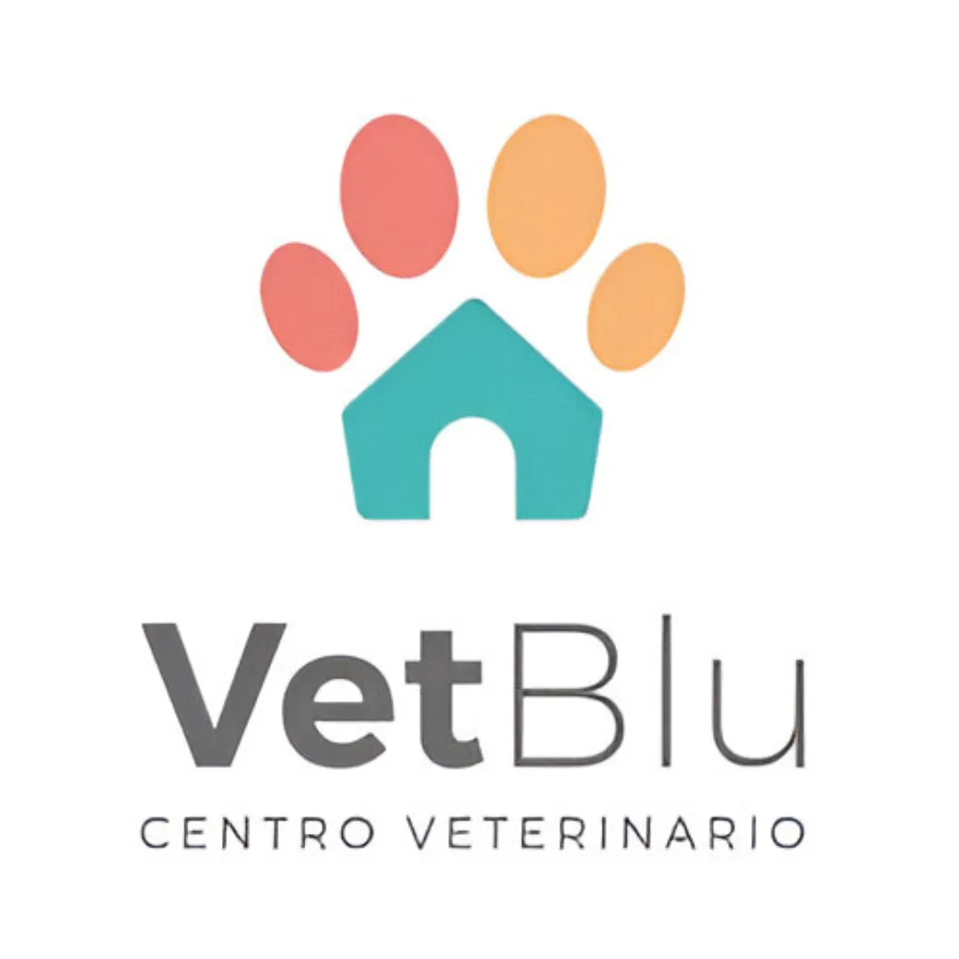 Cliente VB